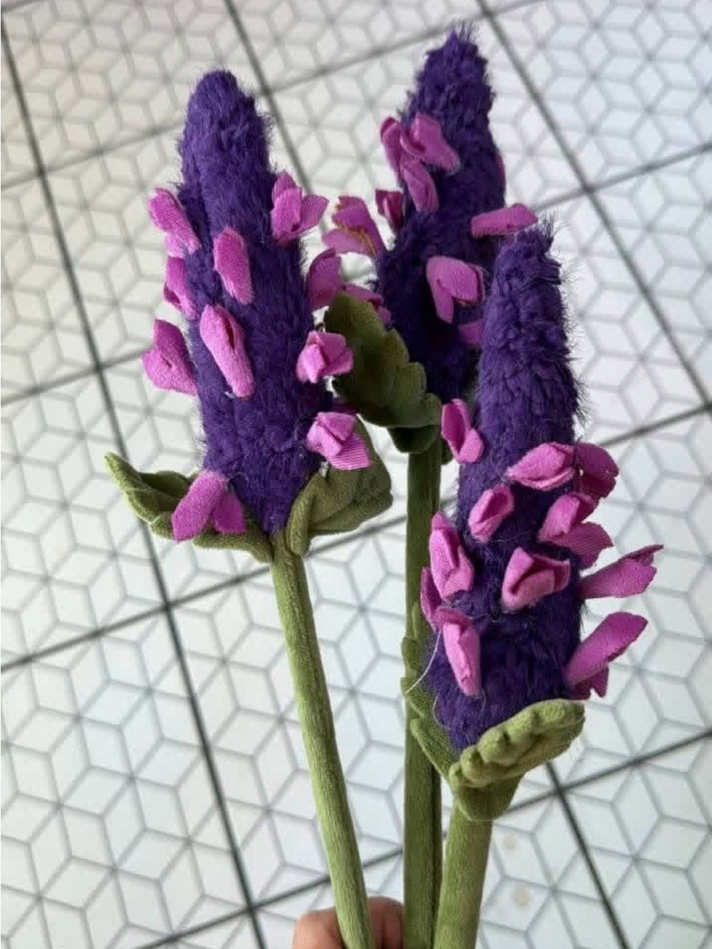 CJ Hendry Flower Shop 1 Limited Edition Lavender 10/10 daily drop